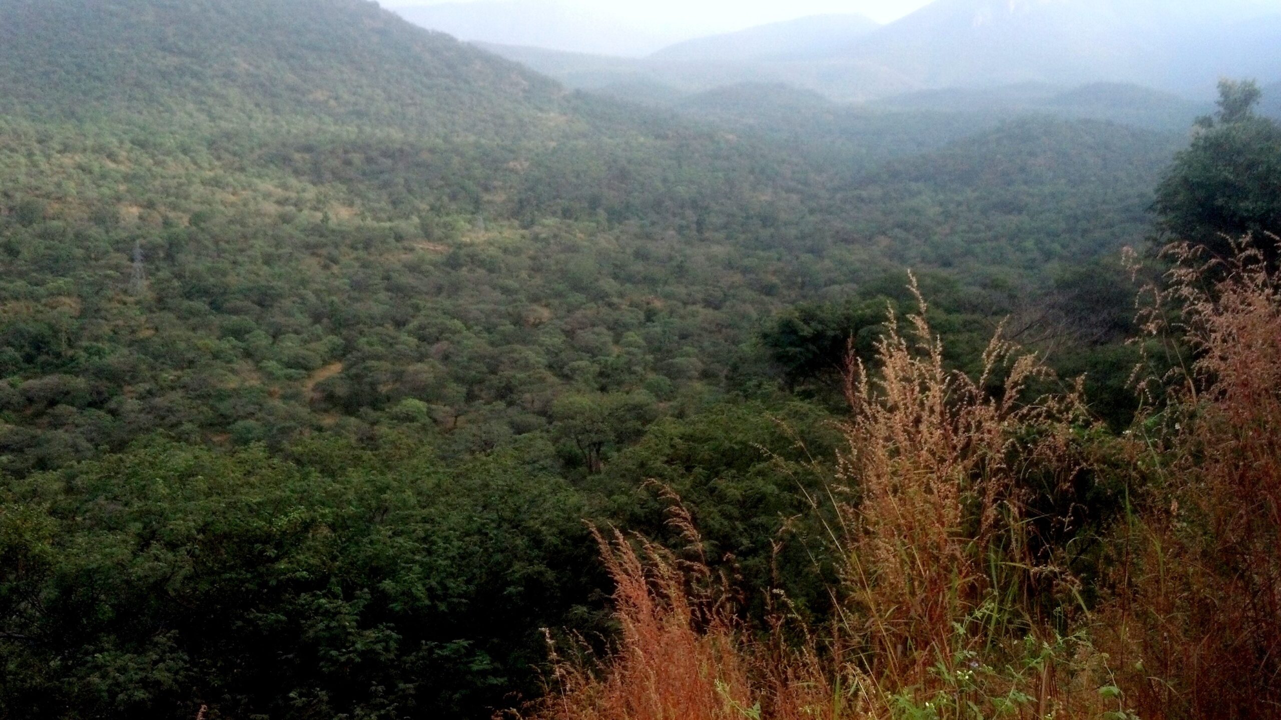 A view of MM Hills in Karnataka.