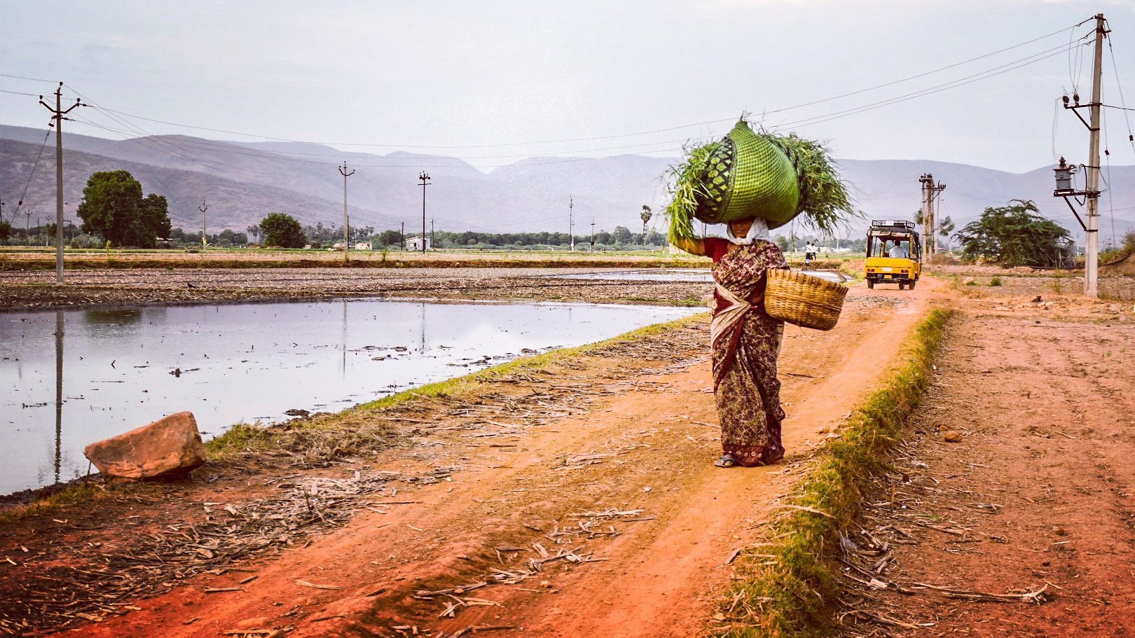 A woman at work in a rural Indian setting.