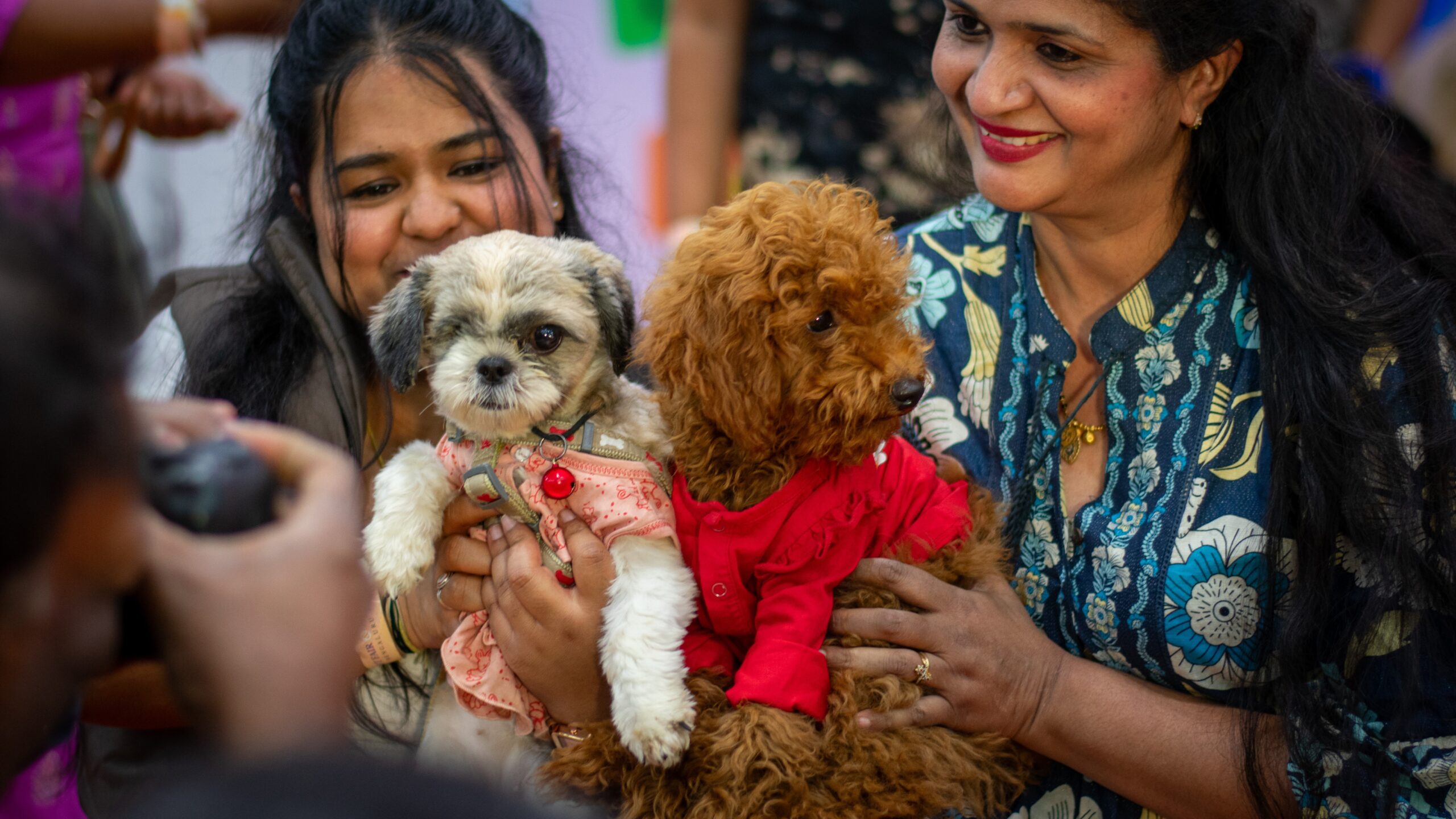 Visuals from the pet trade fair held in the city recently.