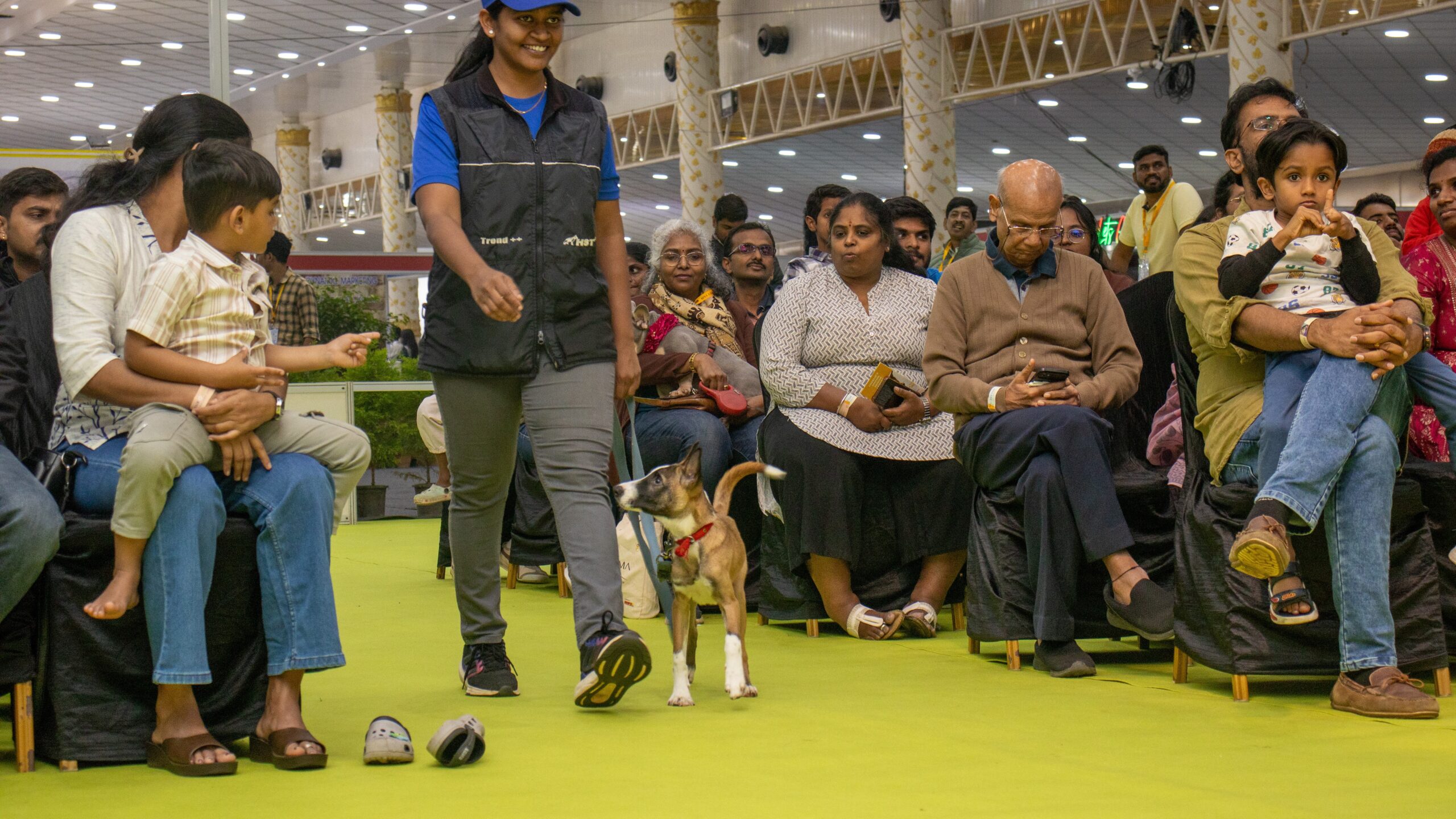 Visuals from the pet trade fair held in the city recently.