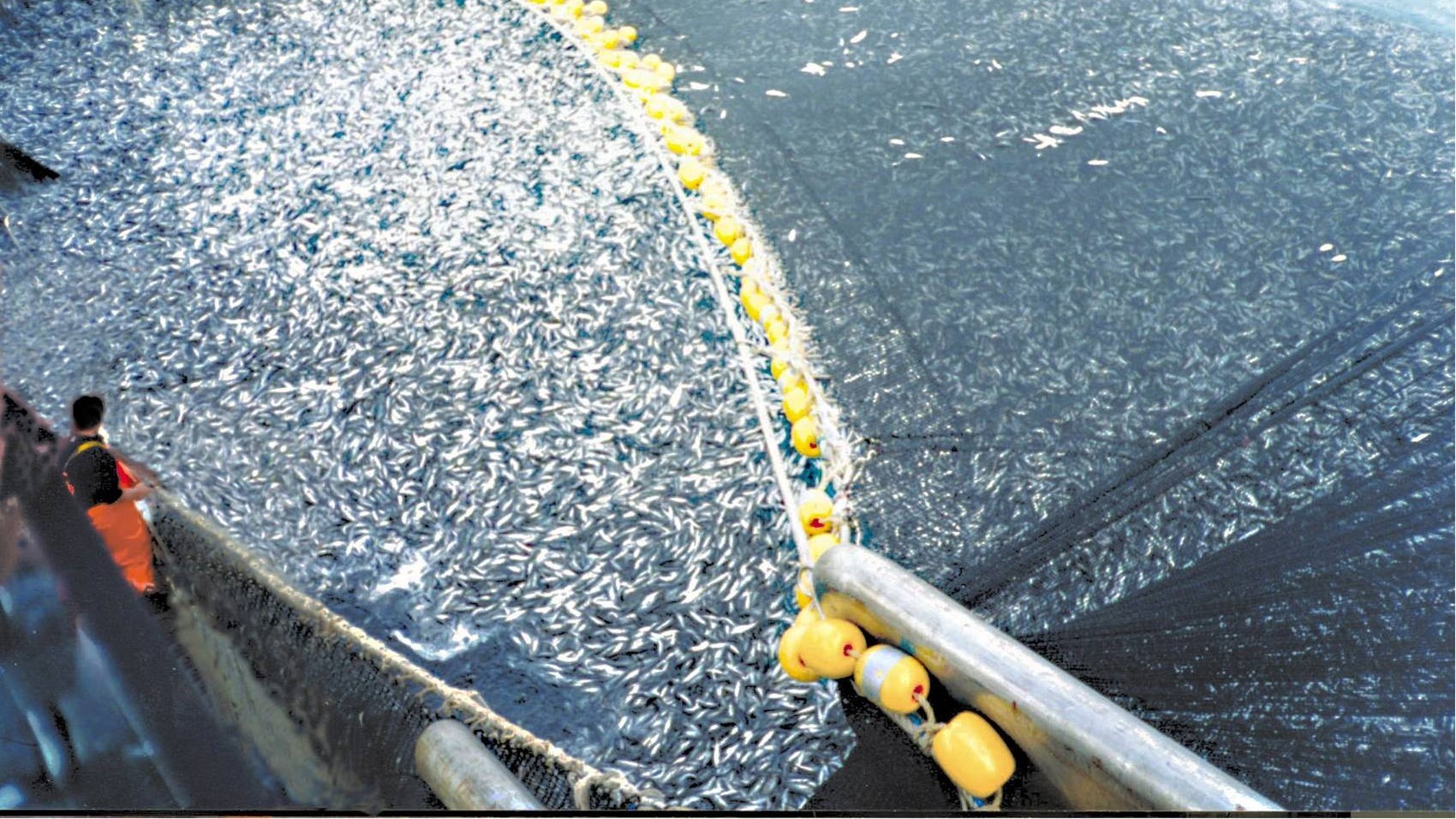 A fishing trawler in action.