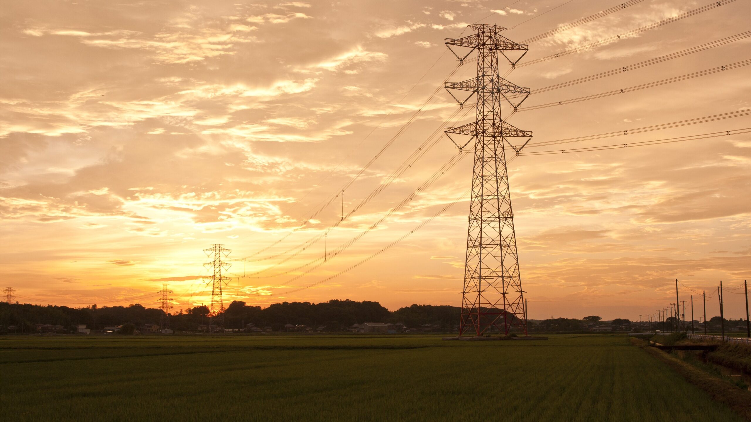 The selling price was Rs 9.08 per unit, said Energy Minister KJ George.